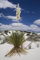 068 White Sands National Monument